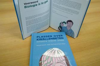 Plassen over kwallenbeten Plassen over kwallenbeten