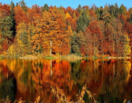 Thema van de maand: Volop herfst