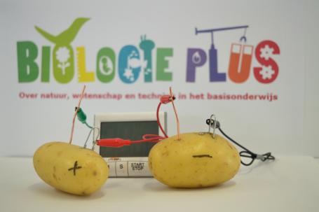 Tik-tok aardappelklok