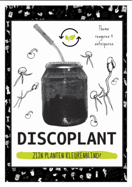 Maak je eigen discoplant