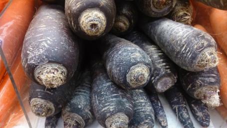 Paarse wortels