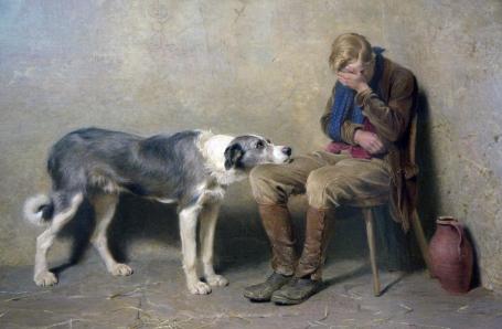 Wetenschap: Hond kent mens als geen ander dier