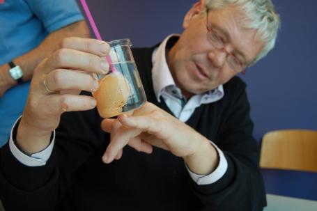 Experimenteren met eieren