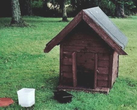 Verzorg je eigen hond