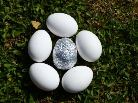Het zilveren ei