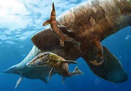 Wetenschap: Mosasaurus kreeg baby’s op volle zee