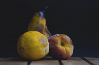 Laat je fruit niet bederven! Laat je fruit niet bederven!