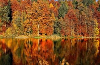 Thema van de maand: Volop herfst Thema van de maand: Volop herfst