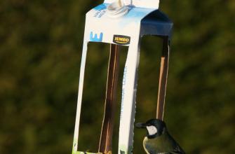 Help de vogels de kille winter door Help de vogels de kille winter door