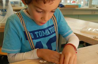 Handige robots Handige robots