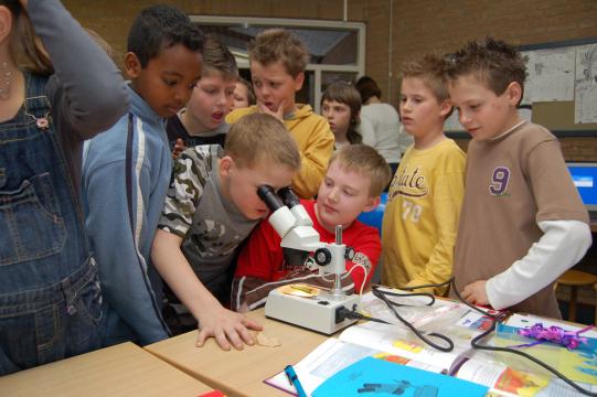 Leerlingen onderzoeken en ontdekken.