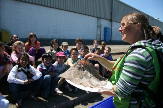 Natuurschool