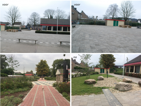 Media | Schoolplein van grijs naar groen (2710)