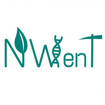 Het nieuwe logo voor de site NWenT.nl voor lesideeën Natuur, Wetenschap en Techniek in het basisonderwijs