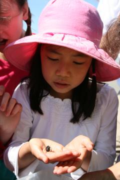 Natuurschool deel 2