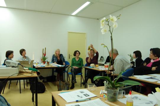 Leerkrachten aan de slag in de workshop van een stagiaire over de vorm en functie van planten