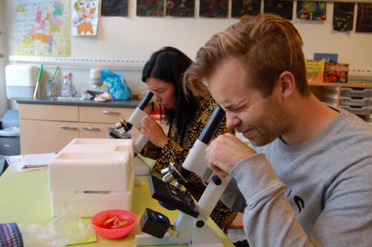 Nutsbasisschool Teteringen aan de slag met microscopie