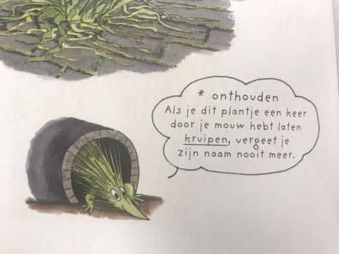 Media | kruipertje (2708)